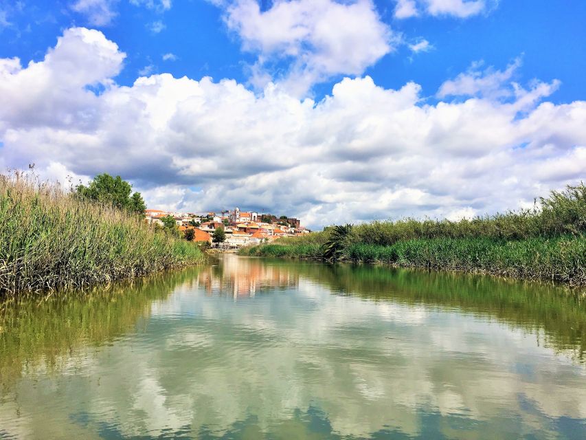 Portimão: Silves & Arade River History Tour on a Solar Boat - Price and value: what $49 buys you on the water