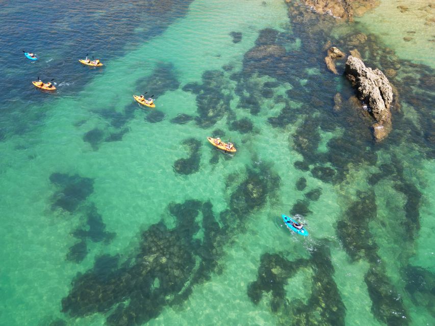 Portimão: Small Group Kayak Cave and Cliff Tour - Should you book the Portimão small group kayak cave tour?