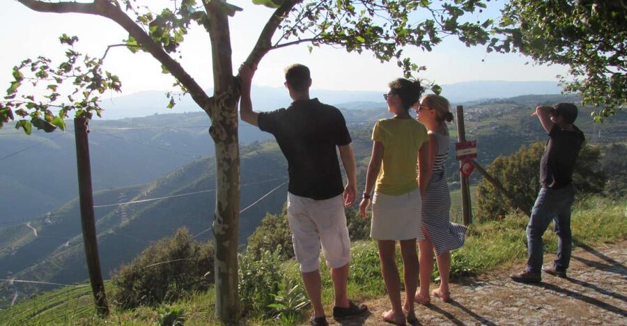 Porto: 3 Douro Valley Vineyards Tour with Lunch - Key things I’d book this for