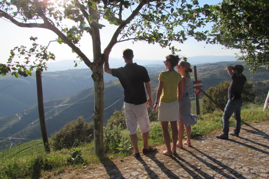 Porto: 3 Douro Valley Vineyards Tour with Lunch - Stop 1 in Sabrosa: Family Vineyard Tours and Port Plus DOC Tastings
