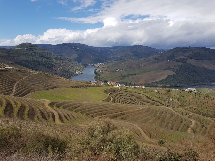 Porto: 3 Douro Valley Vineyards Tour with Lunch - Stop 3 and the Best Part of the Drive: Ports, Facilities, and National Highway 222