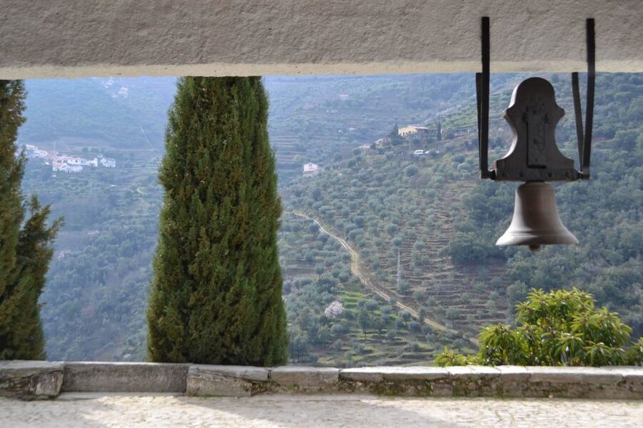 Porto: 3 Douro Valley Vineyards Tour with Lunch - Small Group Feel, Great Guides, and the Details That Matter