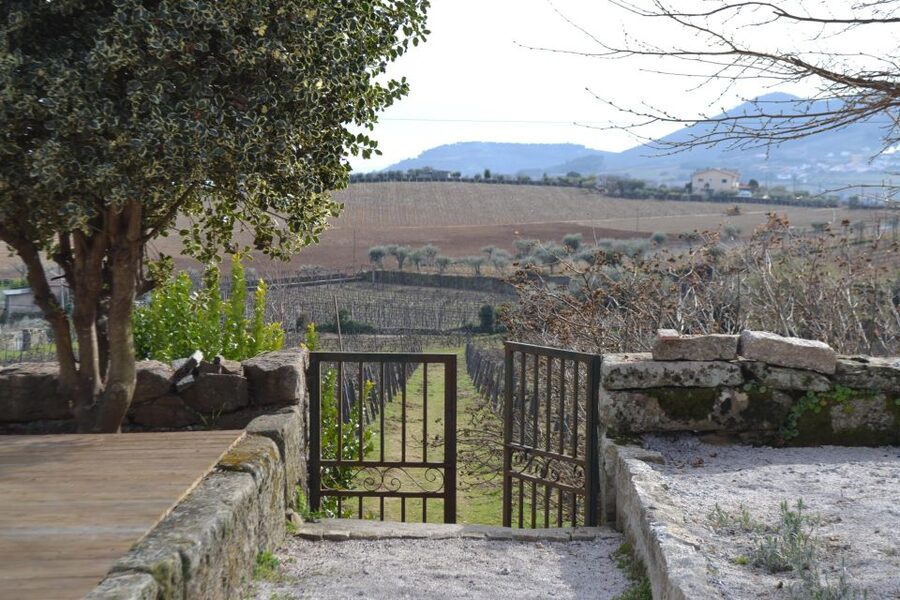 Porto: 3 Douro Valley Vineyards Tour with Lunch - Should You Book This Douro Valley 3-Winery Tour From Porto?