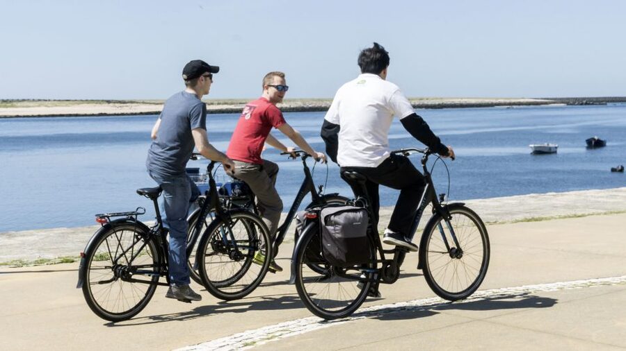 Porto: 3-Hour Bike Tour - Douro Estuary Natural Reserve: where the tour turns from monuments to nature