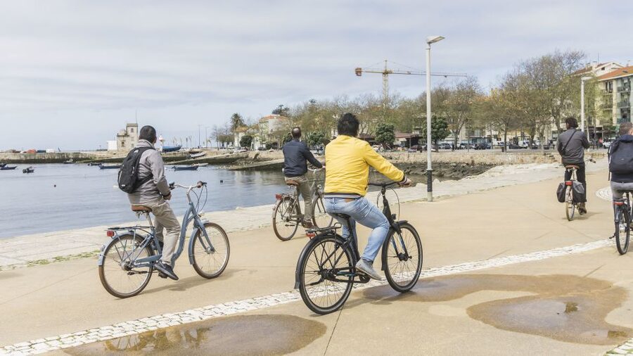 Porto: 3-Hour Bike Tour - Matosinhos and Parque da Cidade: where the ride gets greener