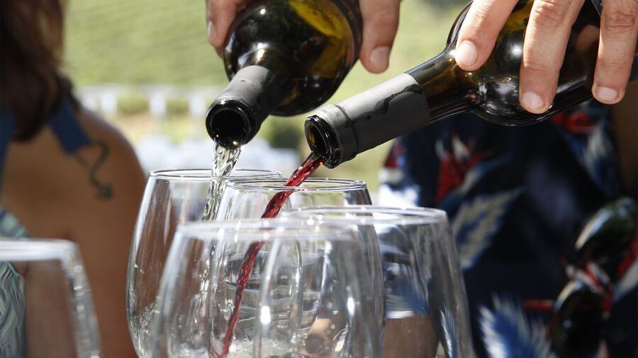 Porto: 3 Wine Regions & Farm Lunch with Views Small-Group - Key highlights that make this day work