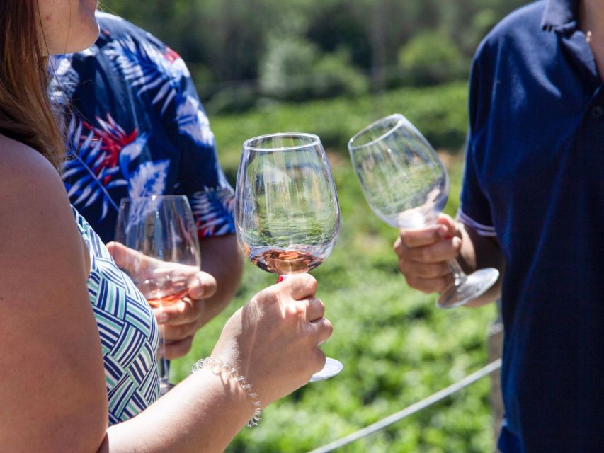 Porto: 3 Wine Regions & Farm Lunch with Views Small-Group - Who this Douro wine day fits best