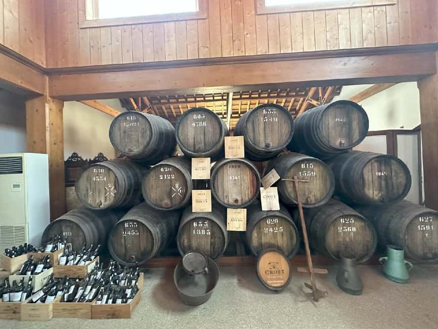 Porto: 3 Wine Regions & Farm Lunch with Views Small-Group - Porto to the Douro, the smart way to start