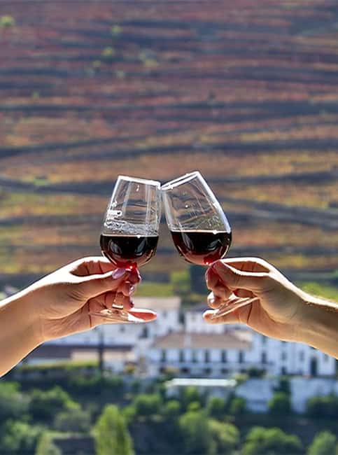 Porto: 3 Wine Regions & Farm Lunch with Views Small-Group - Second Sabrosa winery, the finishing tastings and extra local products