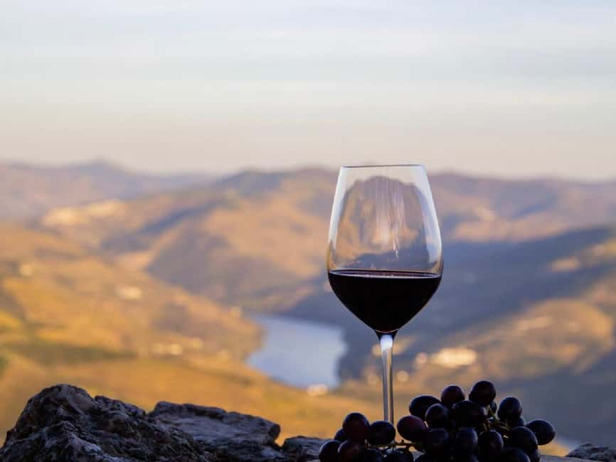 Porto: 3 Wine Regions & Farm Lunch with Views Small-Group - The pace, transport, and what to bring so the day feels easy