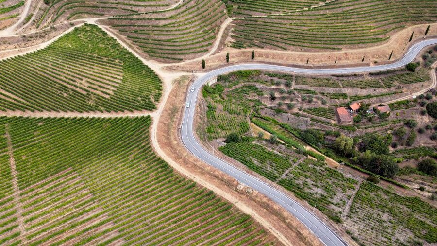 Porto: 3 Wine Regions & Farm Lunch with Views Small-Group - Port and DOC Douro tasting, how to get the most out of three estates