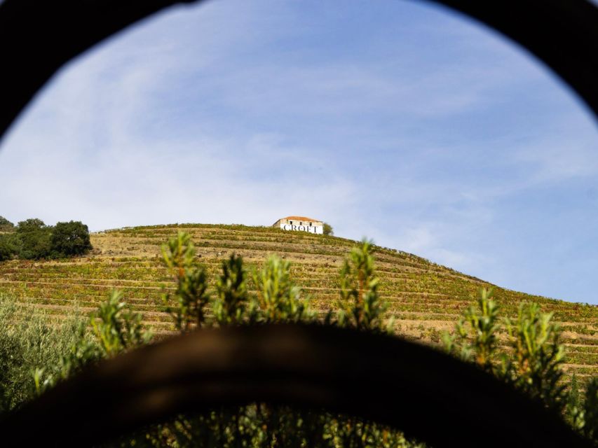 Porto: 3 Wine Regions & Farm Lunch with Views Small-Group - Price and value at $118 per person