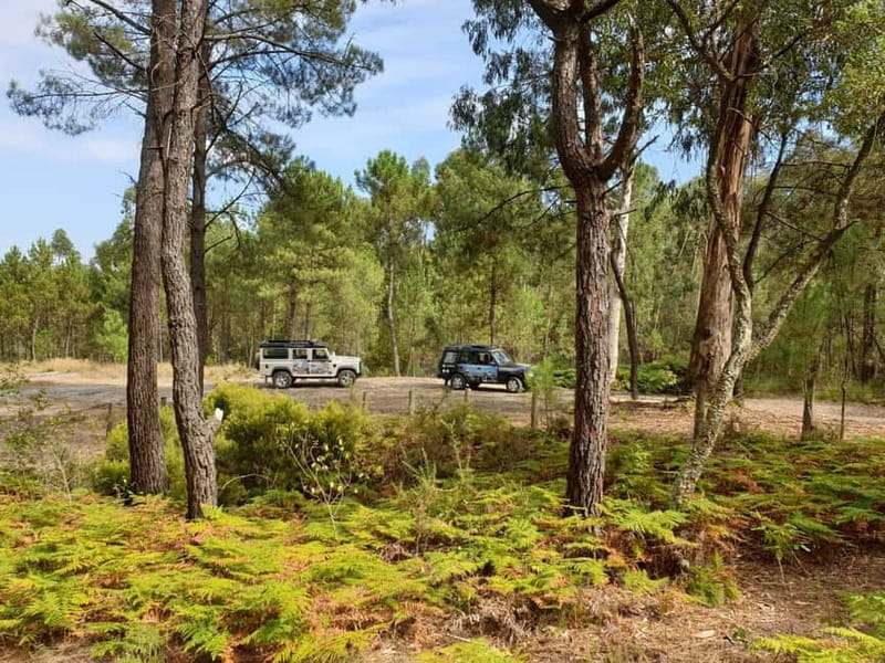 Porto: 4x4 Mountain Tour - Viewpoints and Valongo: short stops that still feel scenic