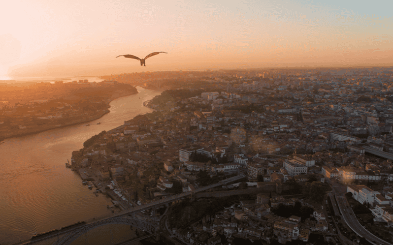 Porto: 5D Flight over de City for all family. - Why Porto from a Dragon View works so well