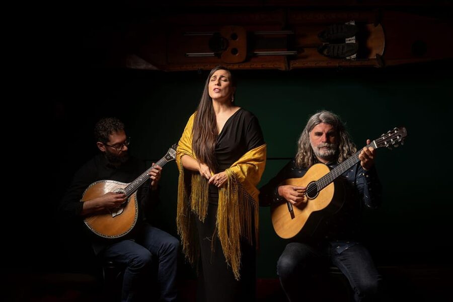 Porto: Authentic Fado Concert With Port Wine & Views - The one-hour show: how Fado feels when you sit close