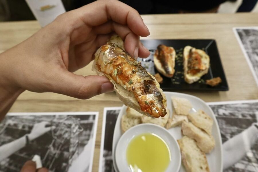 Porto: Authentic Portuguese Food Tour with 5+ Local Tastings - Drinks That Fit Porto: Verde Wine, Beer, and Aged Port