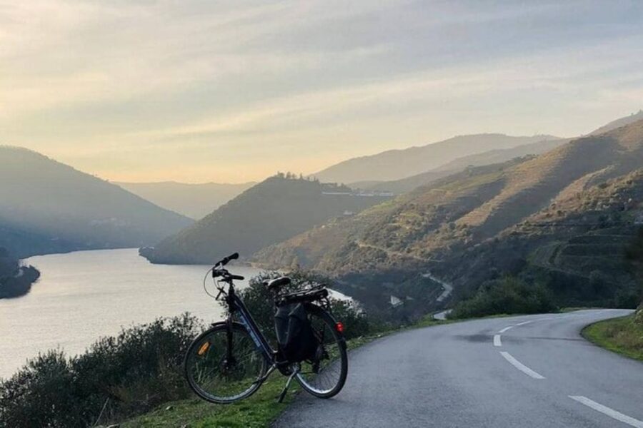 Porto: Bicycle Rental - Why Porto Makes Sense for a 1-Day Bike Rental