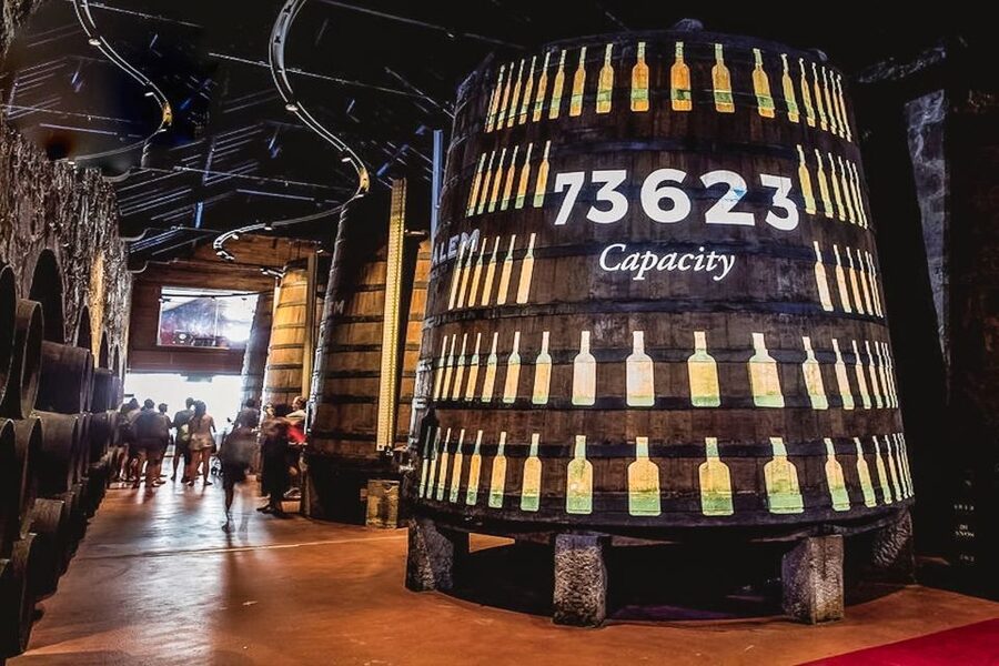 Porto: Cálem Cellar Tour, Fado Show & Wine Tasting - Fado show in the bar room: music that matches the taste