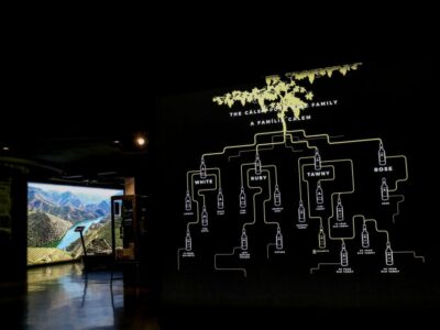 Cálem Cellar Tour, Interactive Museum & Wine Tasting