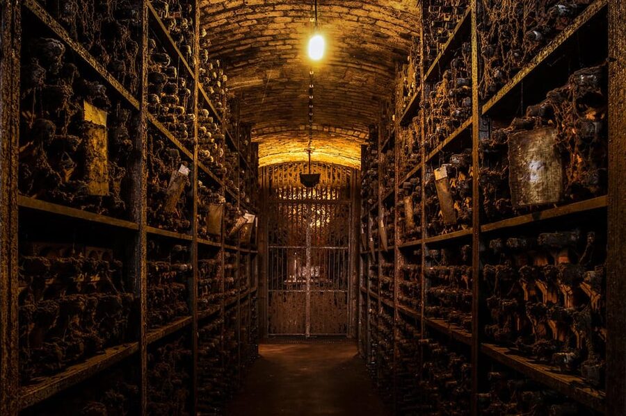 Porto: Carvalhas cellar tour at Real Companhia Velha - The history angle that actually helps you taste