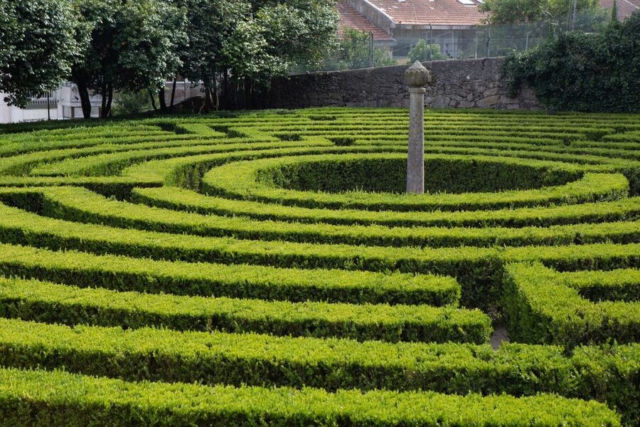 Porto: Casa São Roque Direct Entry Ticket - São Roque Park: camellias, maze, grotto, gazebo, and calm walking