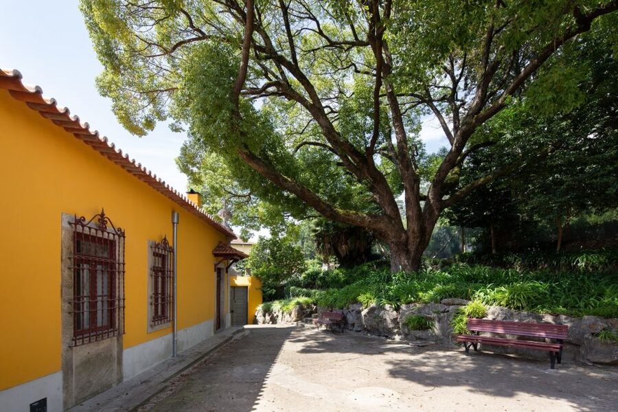 Porto: Casa São Roque Direct Entry Ticket - Rules that matter: photography, pets, food, and the 21 C halls