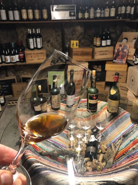 Porto: Cheese and Port Wine Tasting in a Unique Place - How the Three Port Wines Pair With Every Cheese Mood