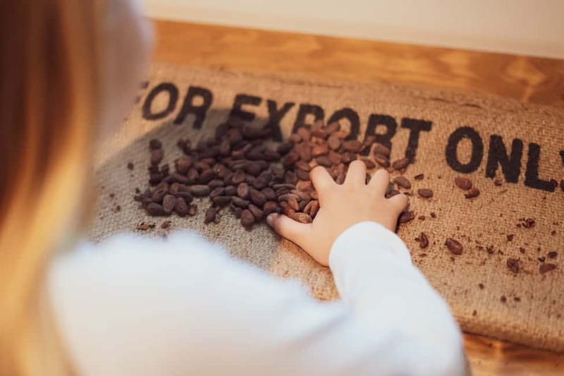 Porto: Chocolate Museum - Unwrap the Secrets of Chocolate - Bean-to-bar learning, with the Vinte Vinte factory in the background