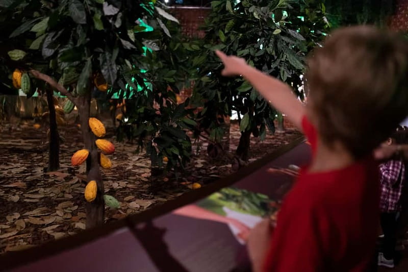 Porto: Chocolate Museum - Unwrap the Secrets of Chocolate - Tasting raw cacao and artisan samples, without turning it into a sugar blur