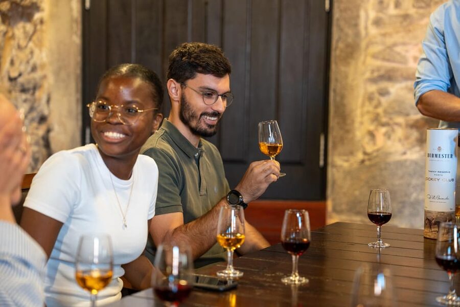 Porto City Full Day Minibus Tour, Wine Tasting & Six Brigdes - Key things that make this day work