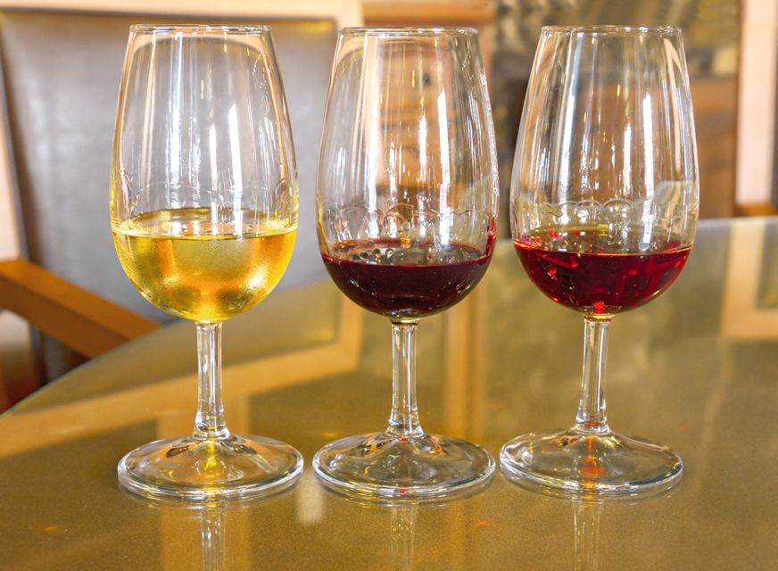 Porto: City Tour, 6 Bridges Cruise and Wine Tasting - Who should book this tour, and who should consider another option