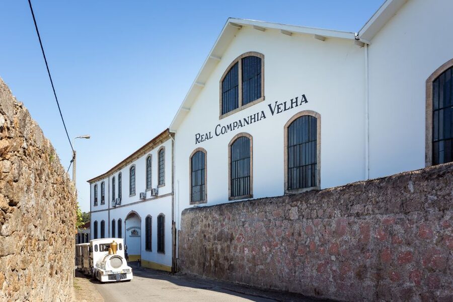 Porto: City Train Tour, River Cruise & Wine Cellar - Porto bridges from the Douro: what you’ll actually see