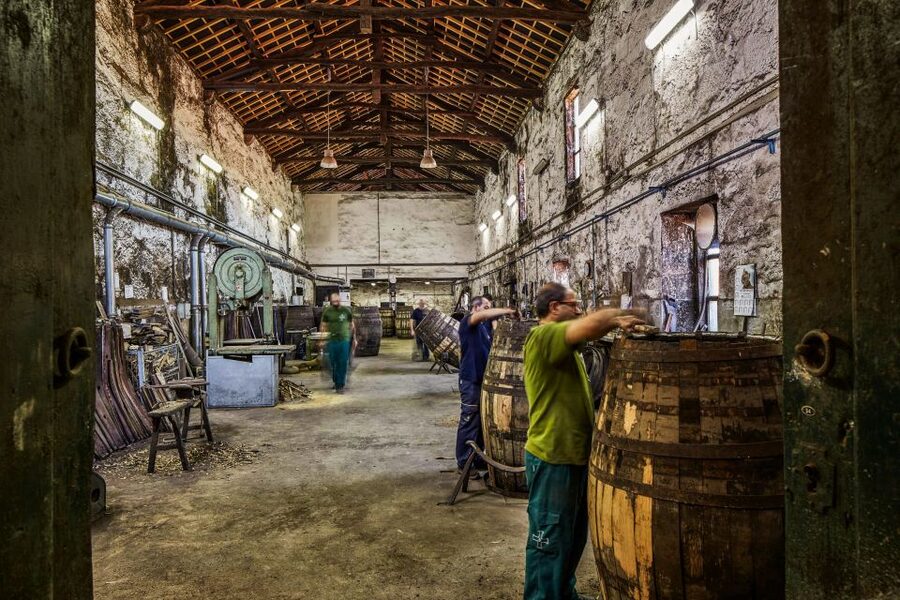Porto: Cockburn’s Port Lodge Tour and Tasting - Final verdict: should you book Cockburn’s Port Lodge Tour and tasting?