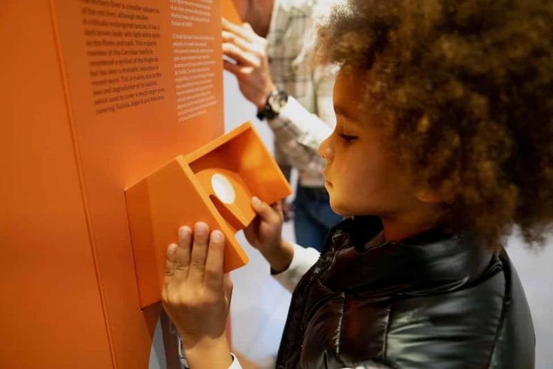 Porto: Cork Museum: Immersive and Perfect for Families - Audio and on-the-fly help: how to avoid friction