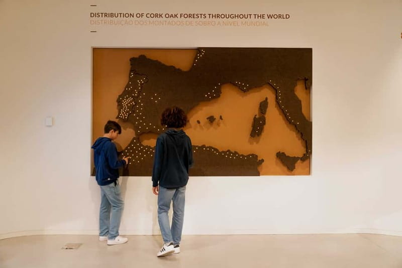 Porto: Cork Museum: Immersive and Perfect for Families - Planet Cork and why it works so well in Porto