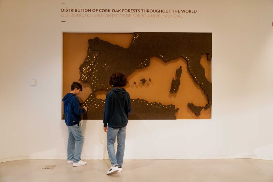 Porto: Cork Museum: Immersive and Perfect for Families - Price and value: is $23 per person worth it?