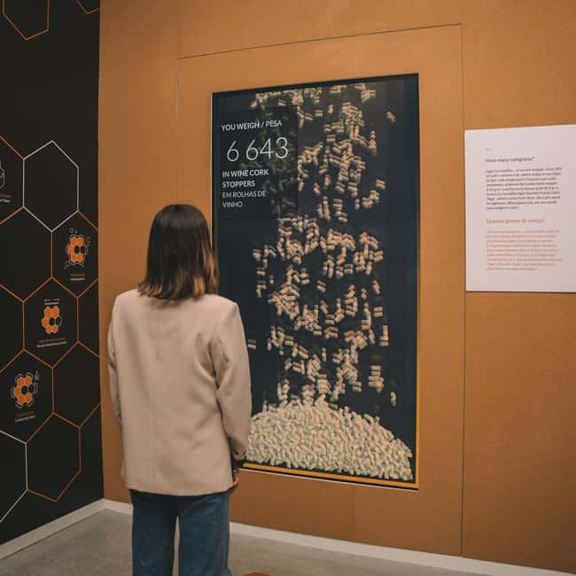 Porto: Cork Museum: Immersive and Perfect for Families - Ticket check and how to plan your 90 minutes