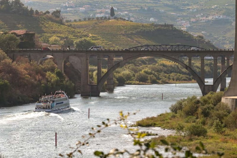 Porto: Cruise with Dinner & Live Music - Live Music on the Douro: Why the Performer Changes the Whole Tone