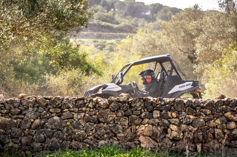 Porto: Dirt and Dust Tour by Oporto Buggy - Should you book the Oporto Buggy Dirt and Dust Tour?