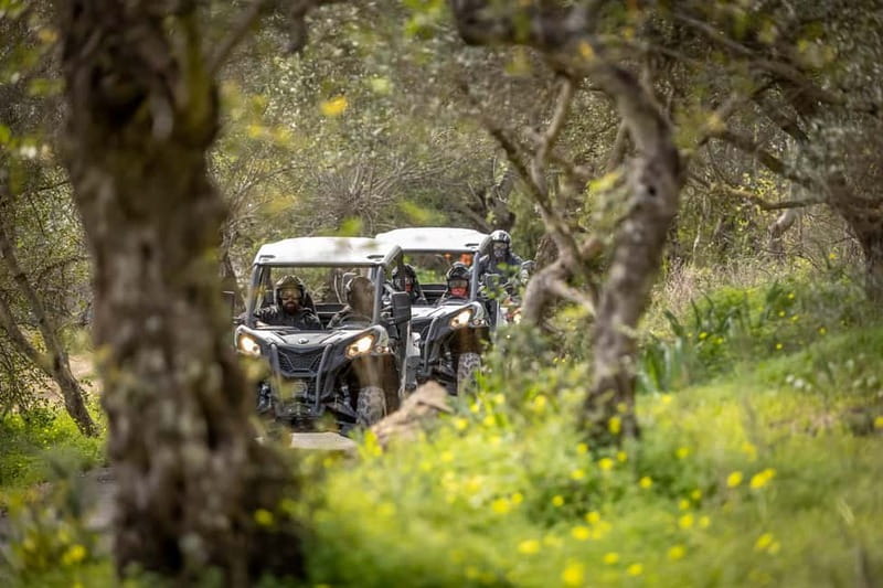 Porto: Dirt and Dust Tour by Oporto Buggy - The off-road route in Parque Natural das Serras do Porto