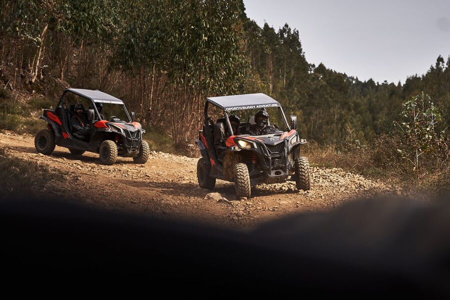 Porto: Dirt and Dust Tour by Oporto Buggy - Practical tips for a smoother, dirtier 60 minutes