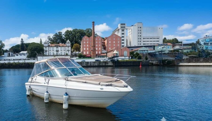 Porto: Douro River Cruise & Boat Tour with Port Wine Tasting - Dom Luís Bridge: the short guided moment that makes the rest click