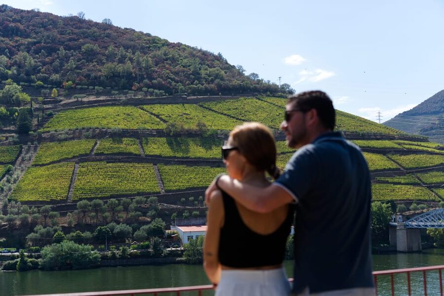 Porto: Douro Valley & Amarante Wine, Food & River Tour - The Quinta Stop: Cellar Tour and Port Tastings