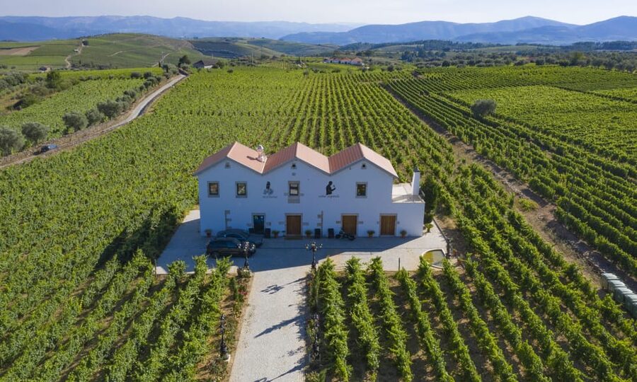 Porto: Douro Valley Day Trip with Lunch and Favaios Village - Key Things I’d Plan Around