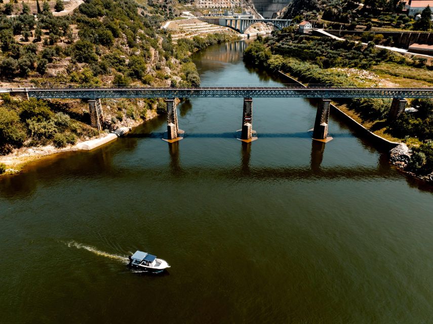 Porto: Douro Valley Full-Day Boat, Train, and Lunch Tour - Key Highlights You Will Feel Immediately