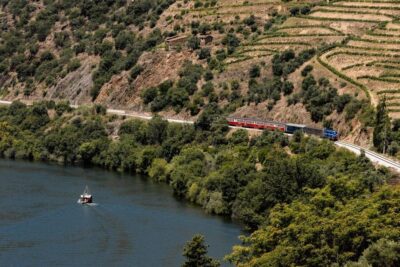 Douro Valley Full-Day Boat, Train, and Lunch Tour