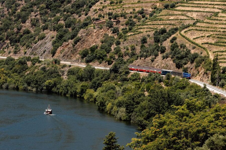 Porto: Douro Valley Full-Day Boat, Train, and Lunch Tour - Getting Started at Trindade Domus and the Van Drive into the Douro