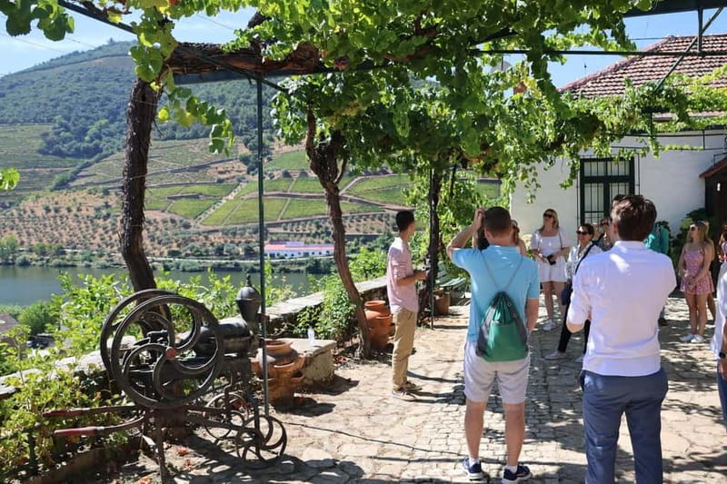 Porto: DOURO VALLEY Half-day Tour - Scenic Douro Valley driving plus the Pinhão stop for the best first impressions