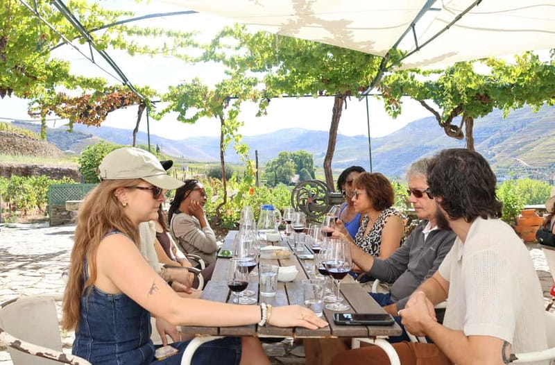 Porto: DOURO VALLEY Half-day Tour - The boutique winery experience: tastings plus local food you can actually remember