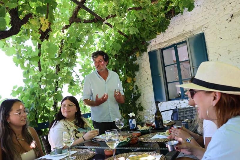 Porto: DOURO VALLEY Half-day Tour - Who this Porto to Douro half-day tour suits best